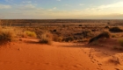 chasse kalahari desert