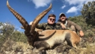 ibex espagne chasse