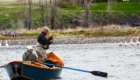 peche sur yellowstone river