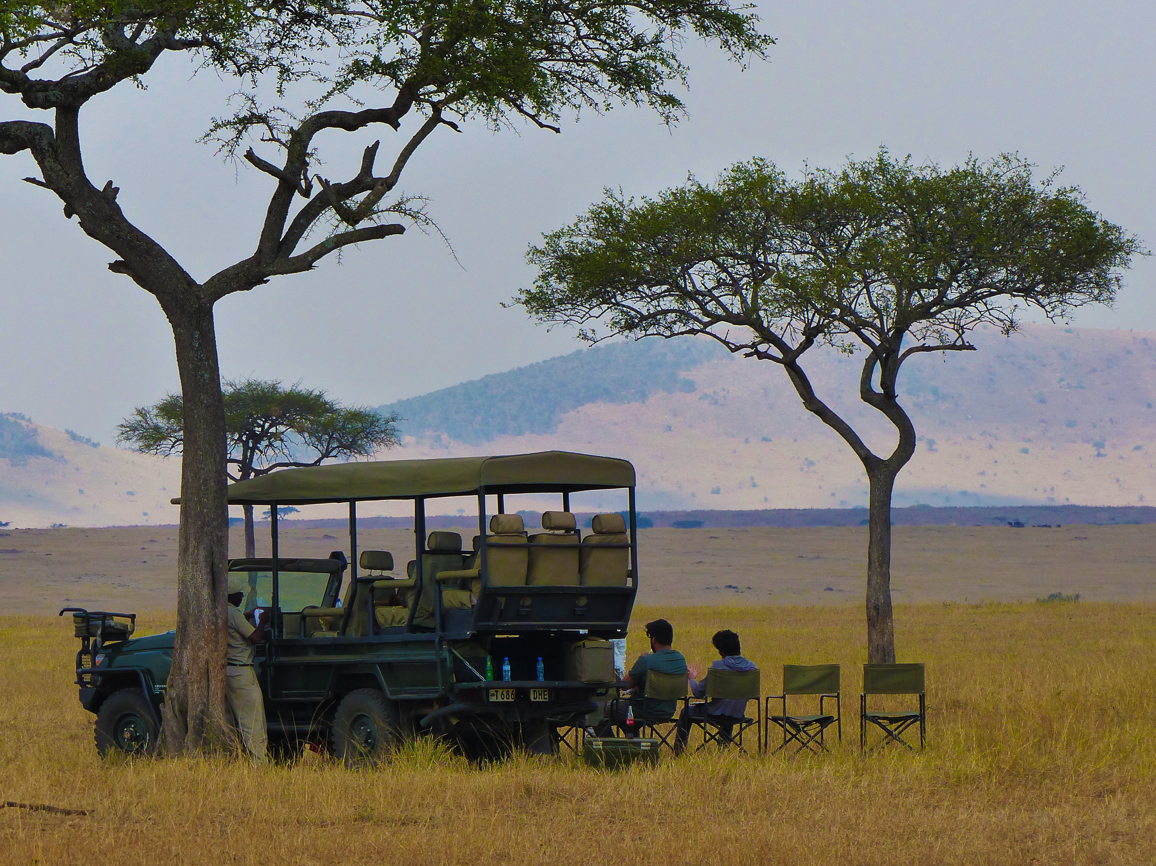 safari photo tanzanie avec constant boulard international adentures