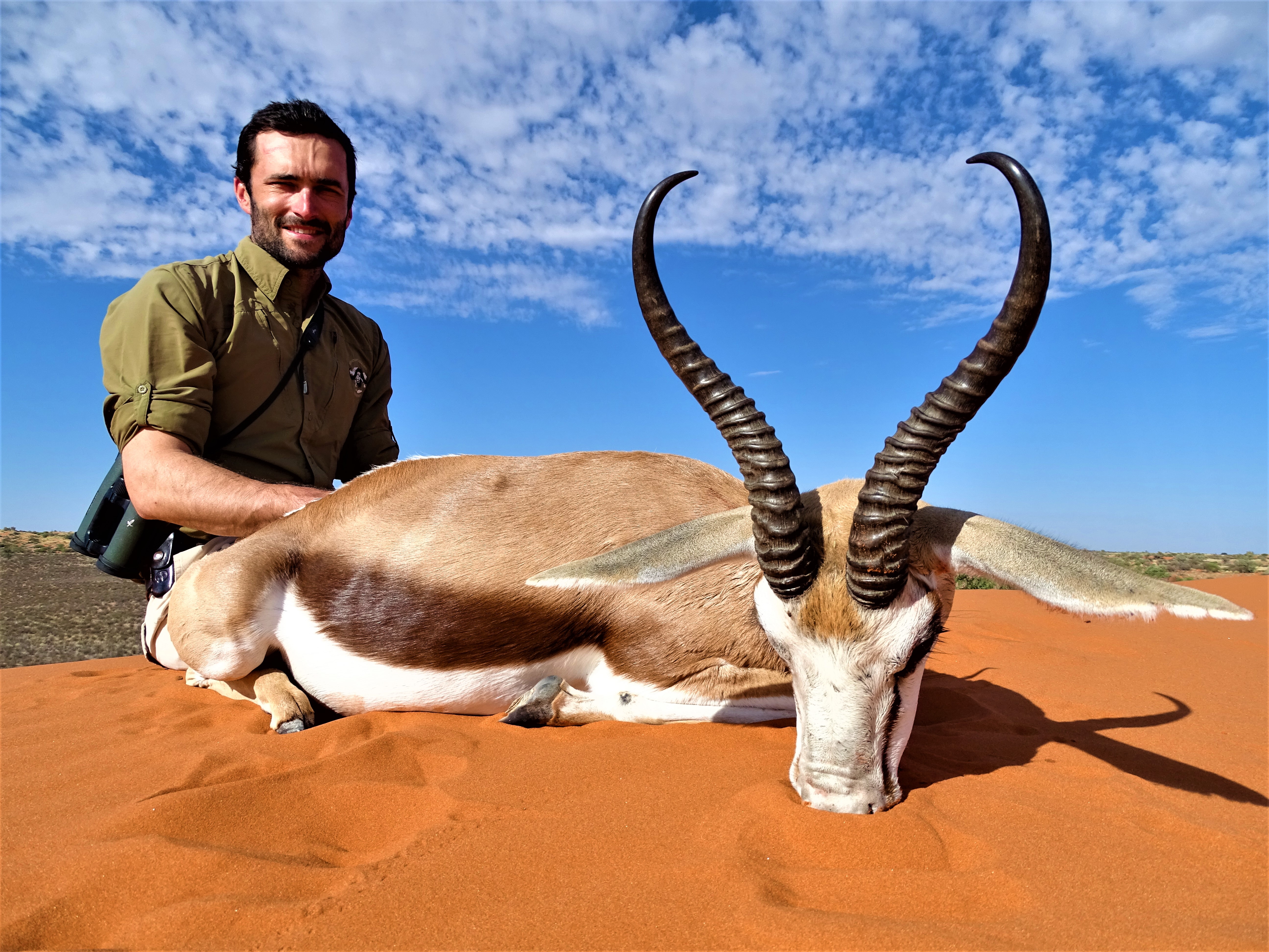chasse afrique springbok