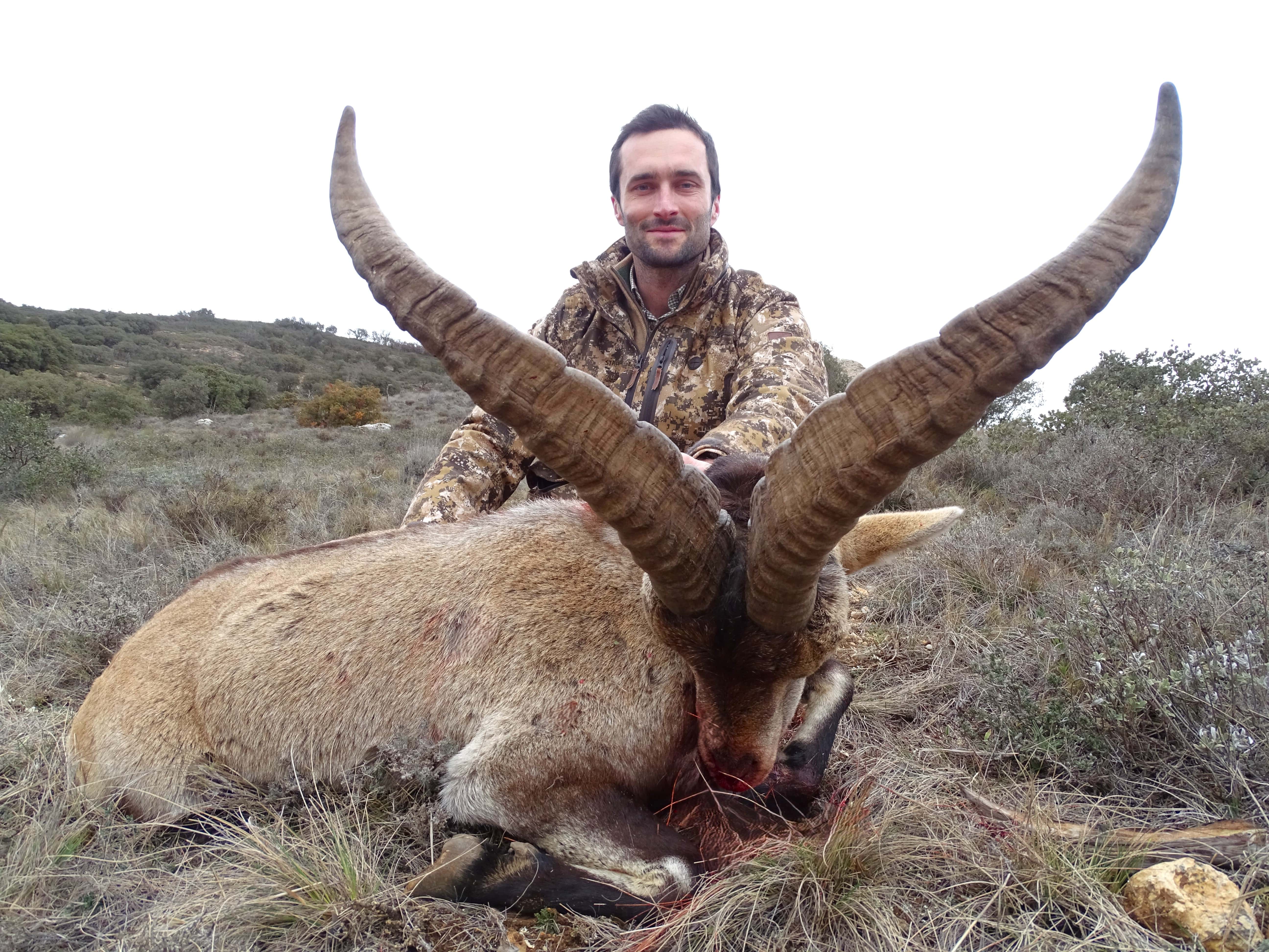 Chasse ibex avec constant boulard
