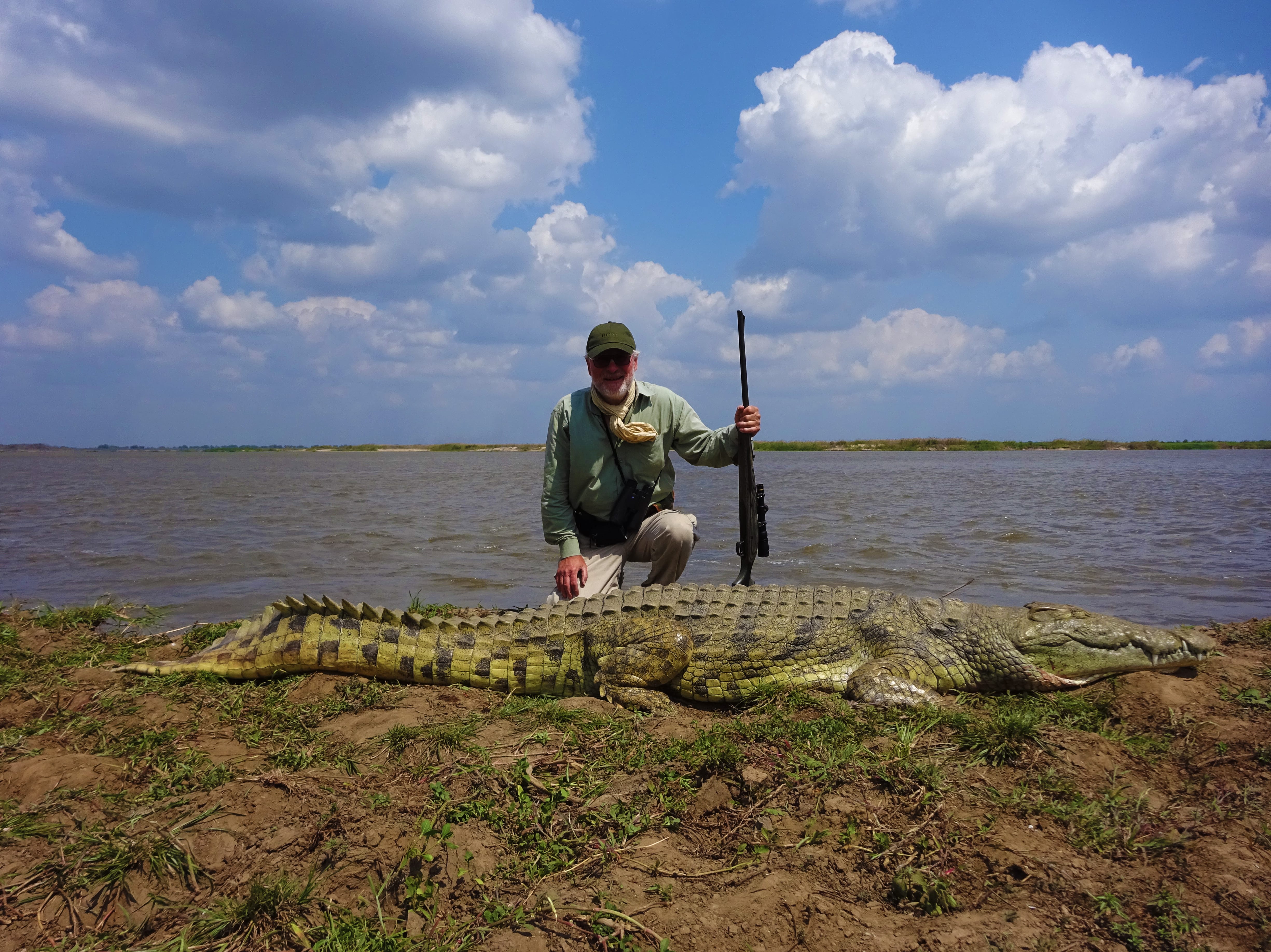 crocodile in mozambique