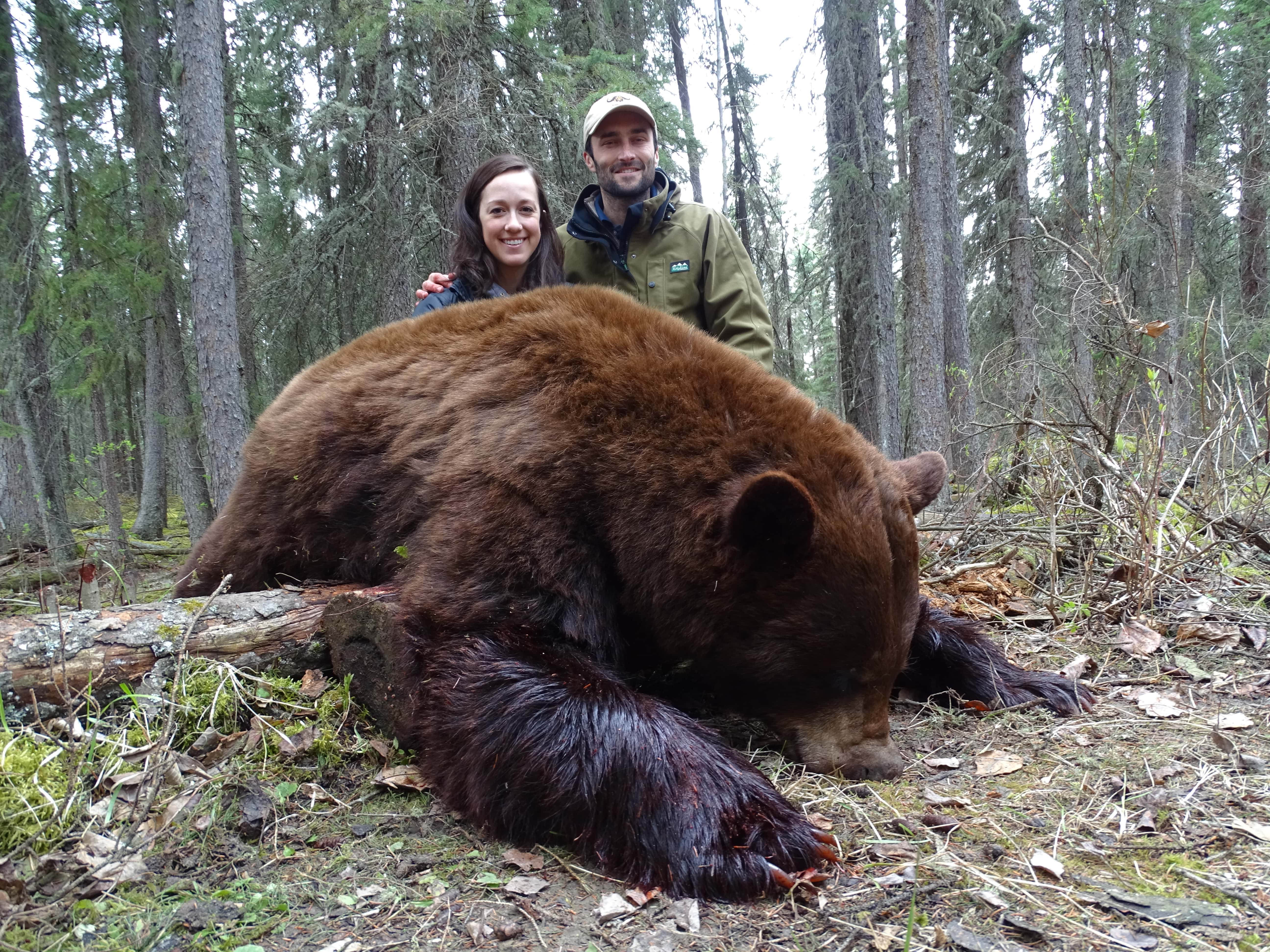 Constant Boulard chasse ours