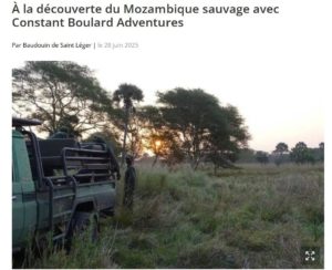 mozambique chasse