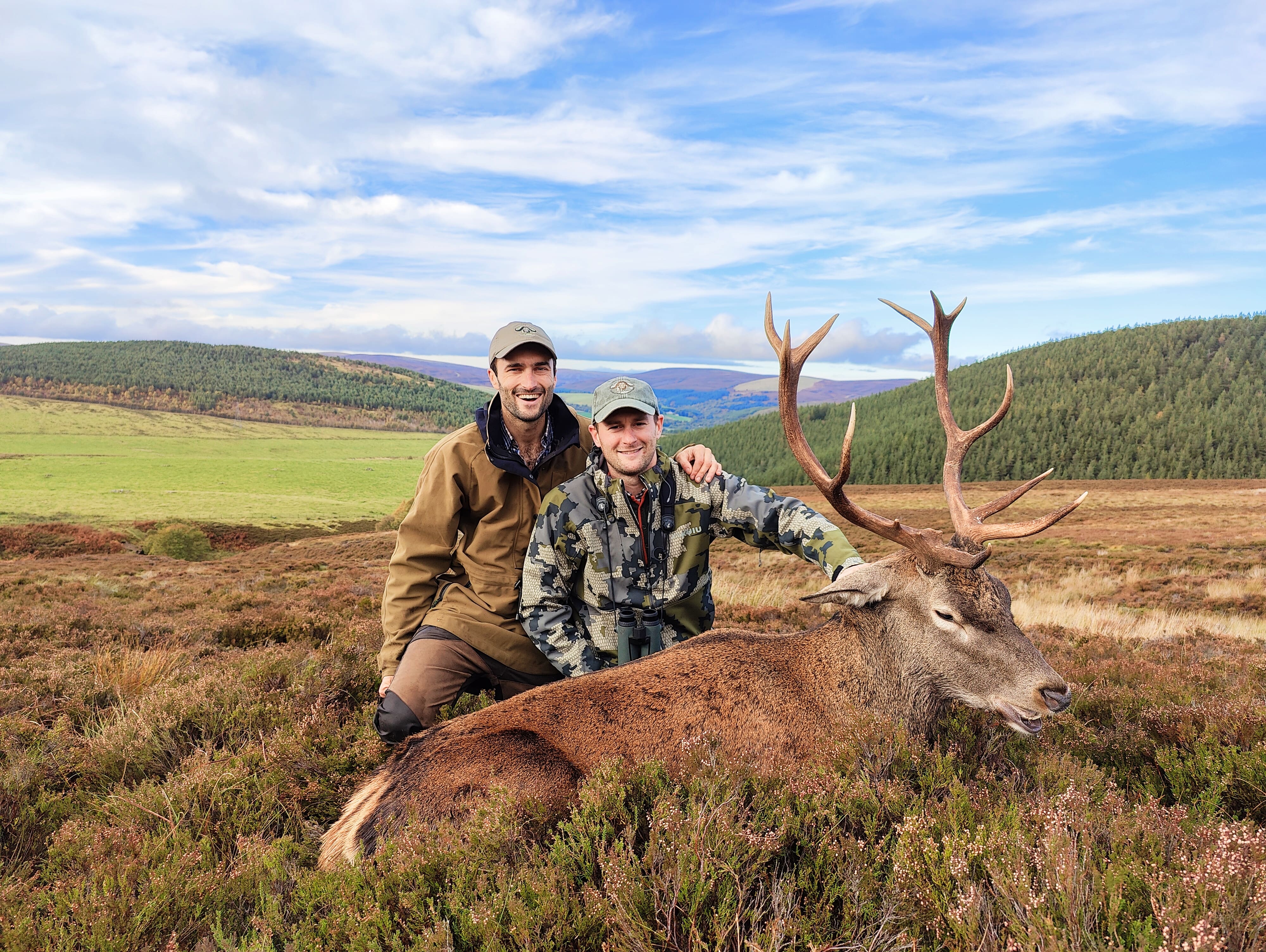 Chasse cerf ecosse