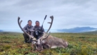 chasse caribou