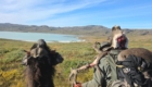 greenland trophies