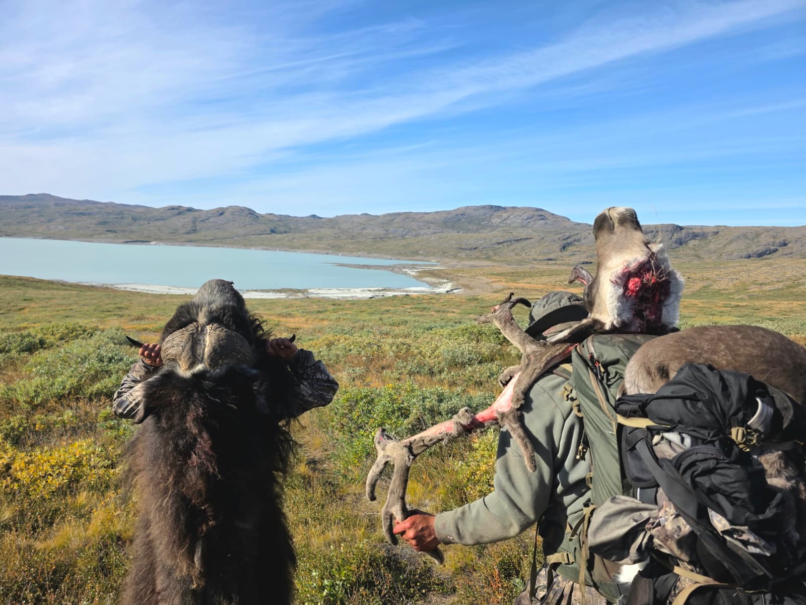 greenland trophies