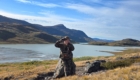 greenland hunt