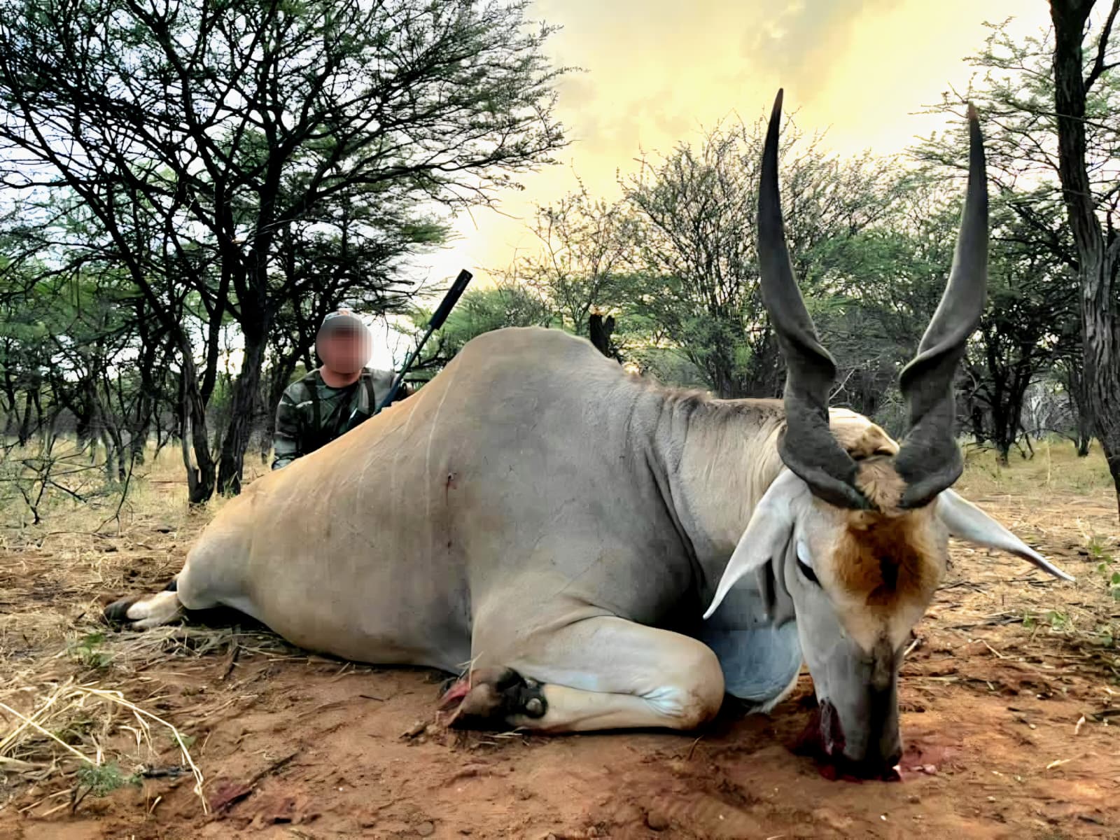 Chasse en Namibie