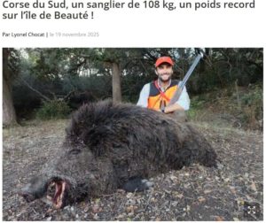 chasse en corse