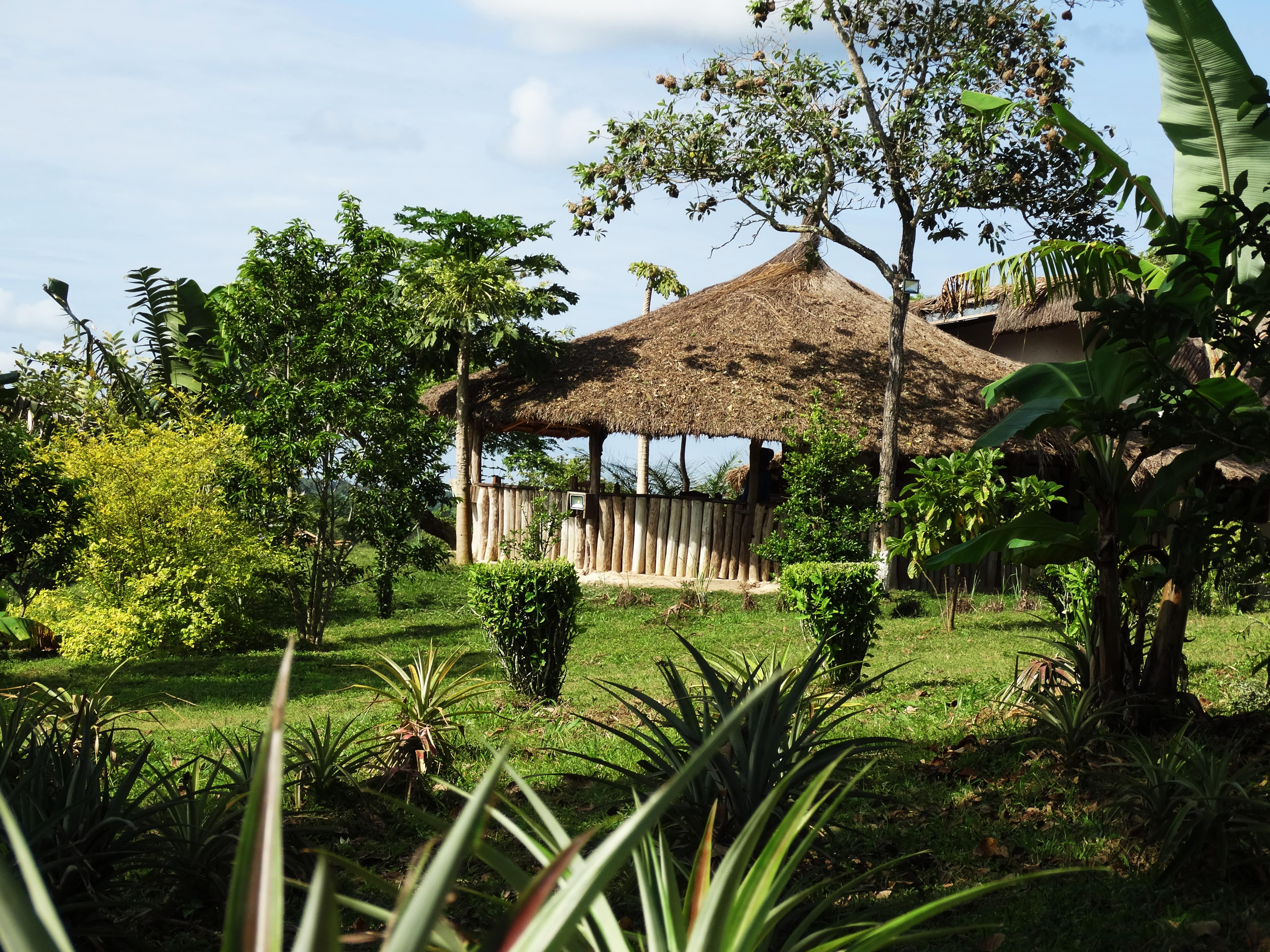 hunting lodge cameroon