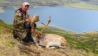 mountain hunting new zealand