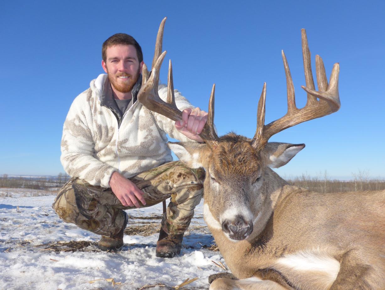 cerf de virginie chasse