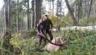 stag hunting approach