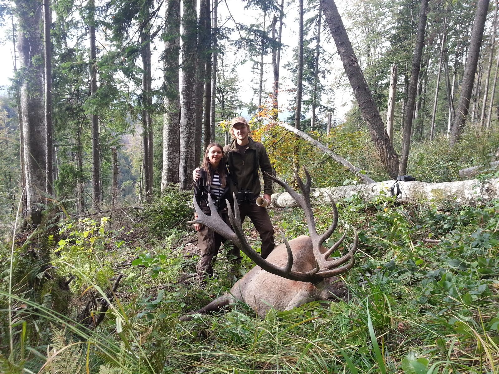 chasse cerf approche