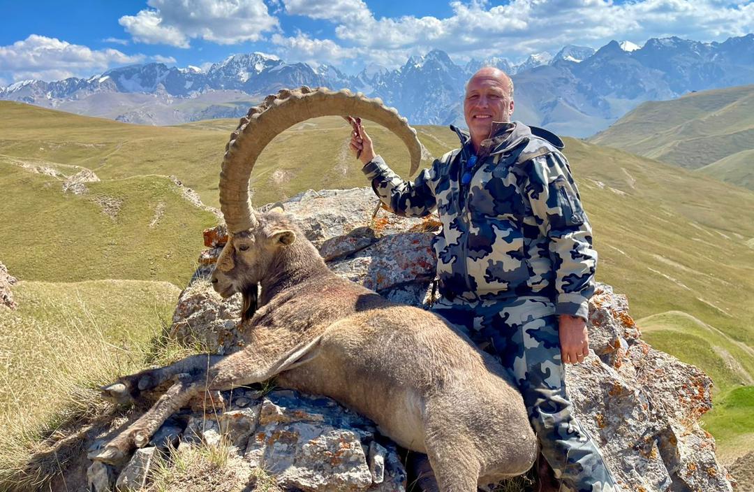 ibex trophée kyrgyzstan