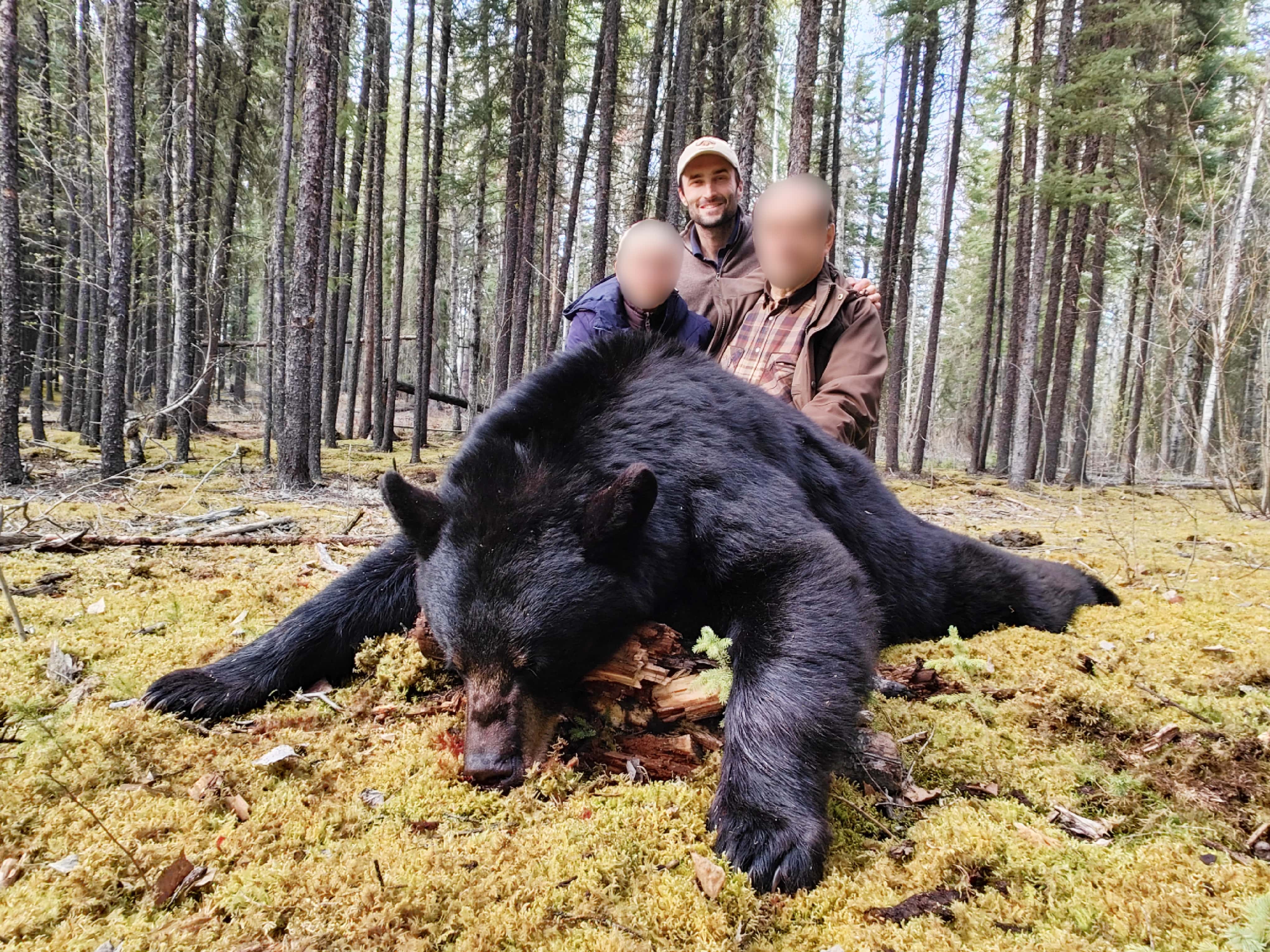 black bear hunt