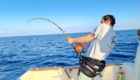 corsican fishing