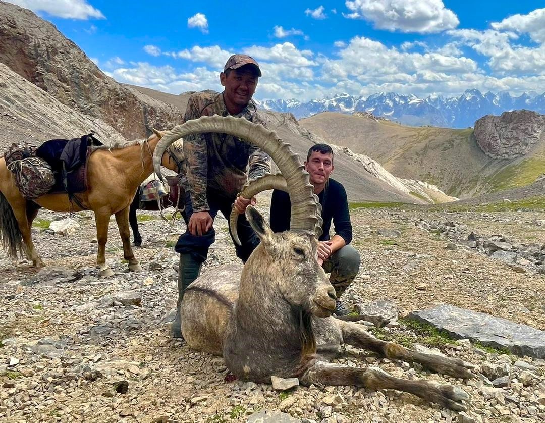 chasse ibex