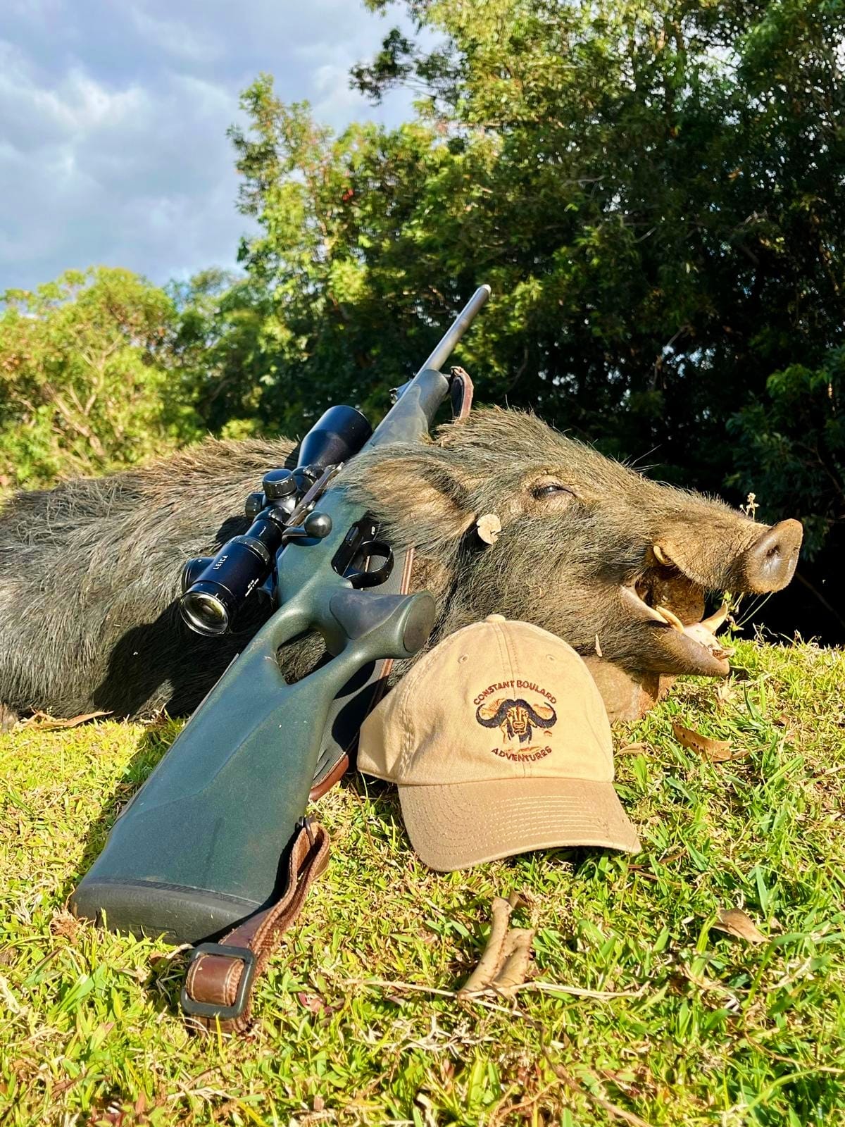 cochon marron ile maurice