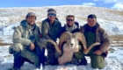 chasse kyrgyzstan