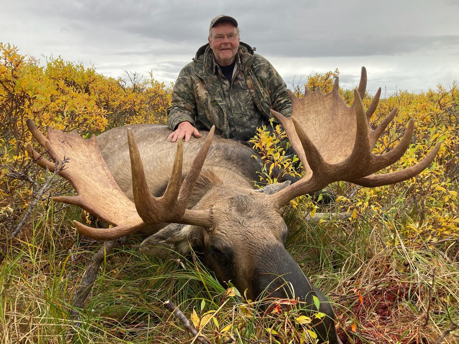 moose alaskan hunt