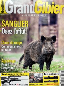 article chasse grand gibier