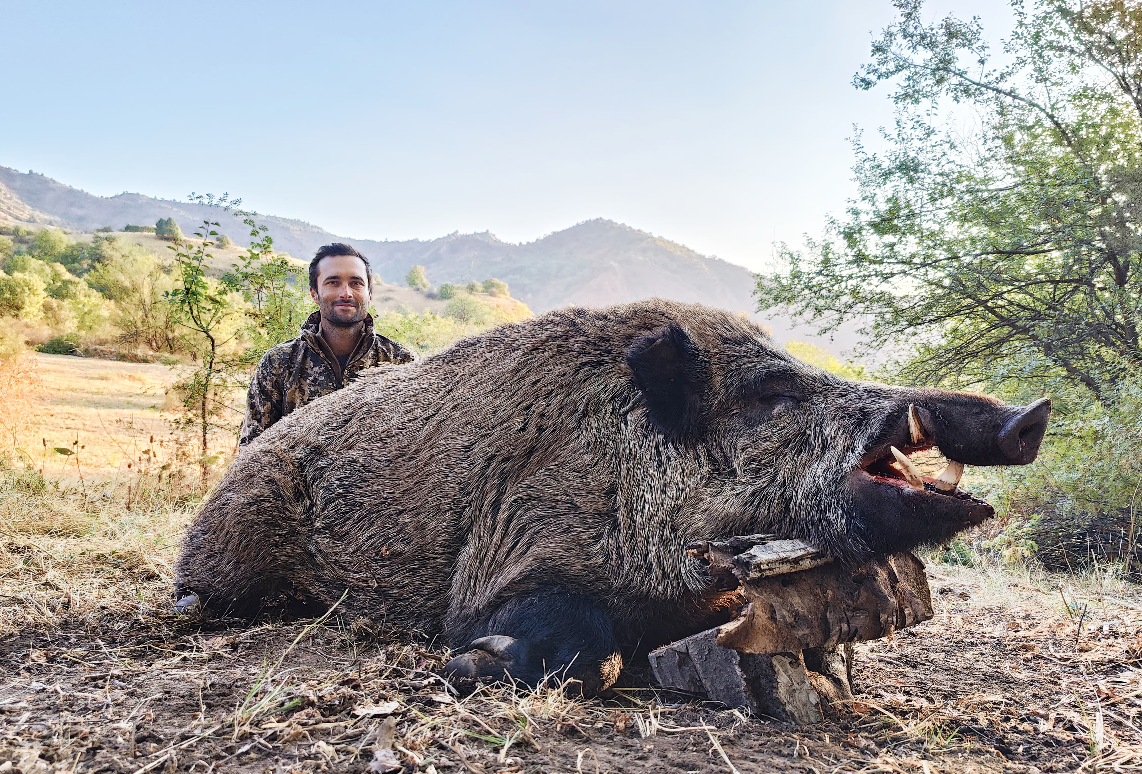 tadjikistan sanglier